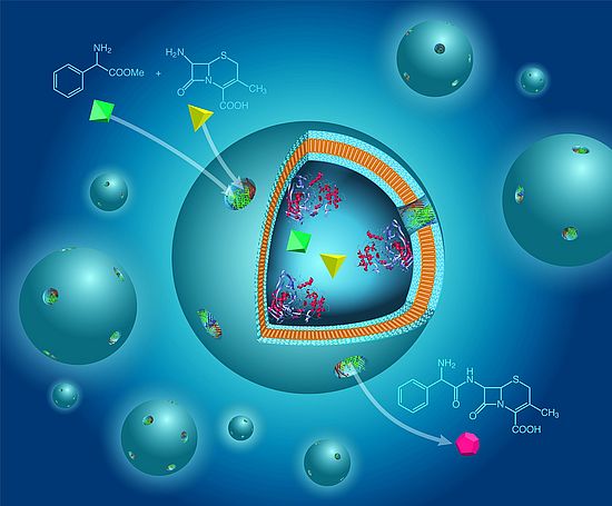 Molecular Systems Engineering - A new NCCR Initiative