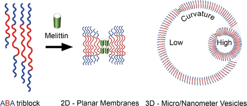 How Do the Properties of Amphiphilic Polymer Membranes Influence the Functional Insertion of Peptide Pores?